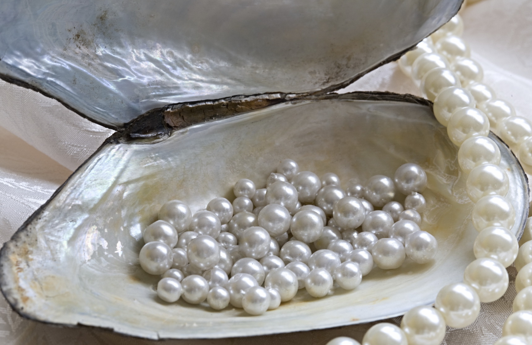 Oyster and pearls