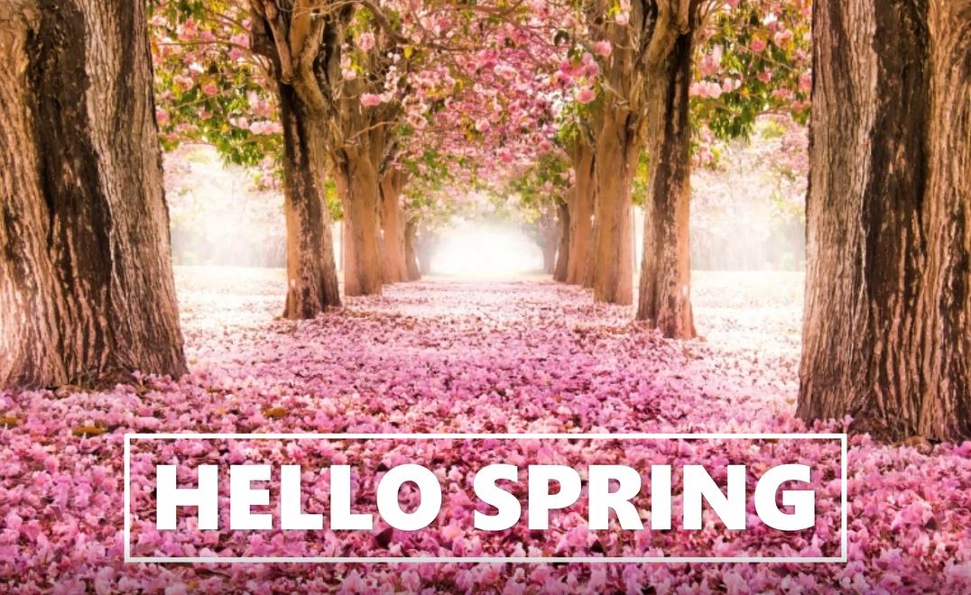 happyspring